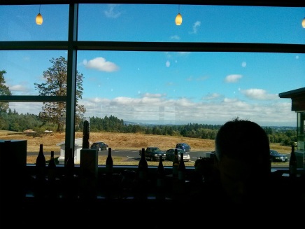 View from inside Stoller tasting room
